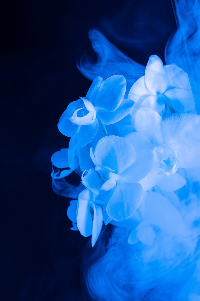 floral, abstract, flower, flower wallpaper, colorful, blue, fantasy, smoke, nature, dream, blue flower, beautiful flowers, blue abstract, blue fantasy, blue smoke, flower background, blue dream